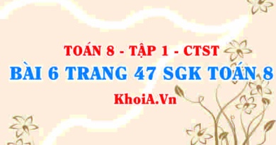 Bài 6 trang 47 SGK Toán 8 Tập 1 Chân trời sáng tạo